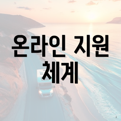 온라인 지원 체계