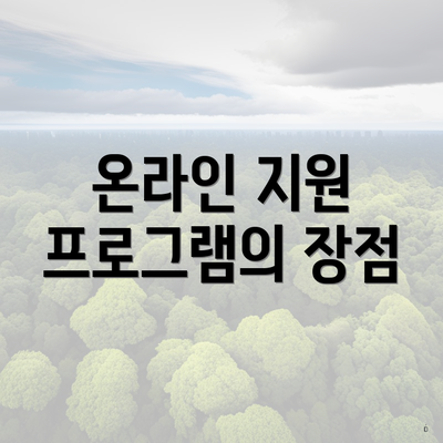 온라인 지원 프로그램의 장점