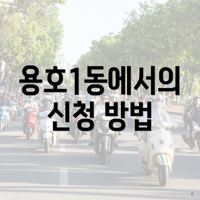 용호1동에서의 신청 방법