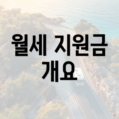 월세 지원금 개요