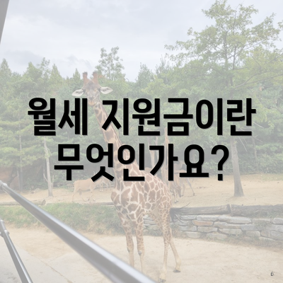 월세 지원금이란 무엇인가요?