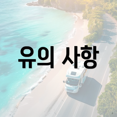 유의 사항