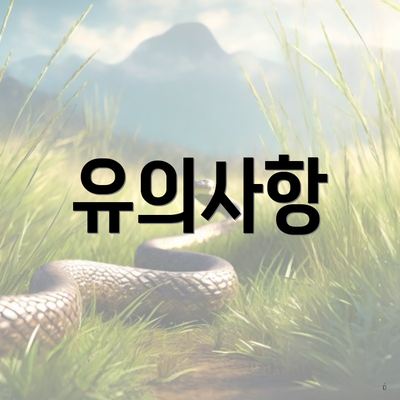 유의사항
