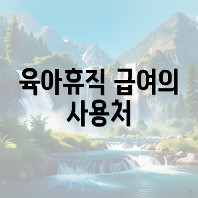 육아휴직 급여의 사용처