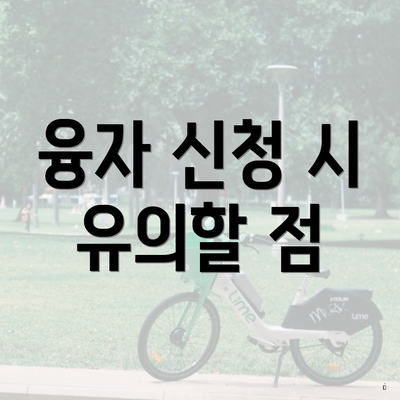 융자 신청 시 유의할 점