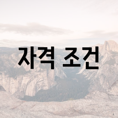 자격 조건