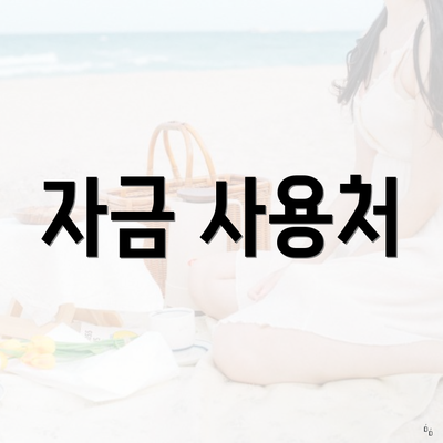 자금 사용처