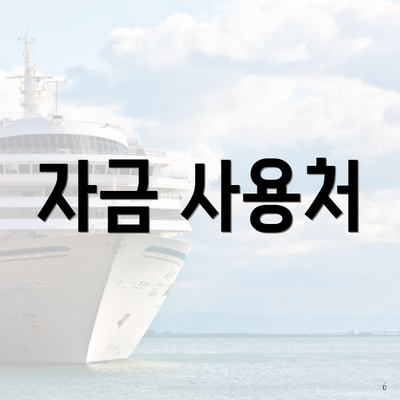 자금 사용처