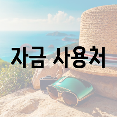 자금 사용처