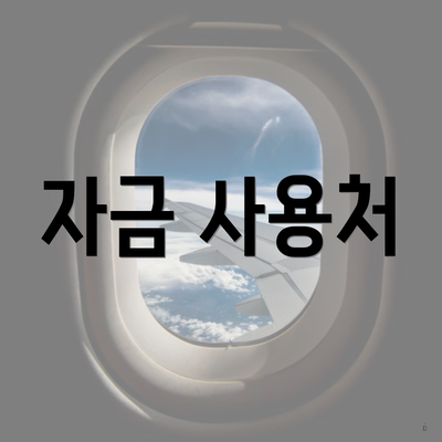 자금 사용처