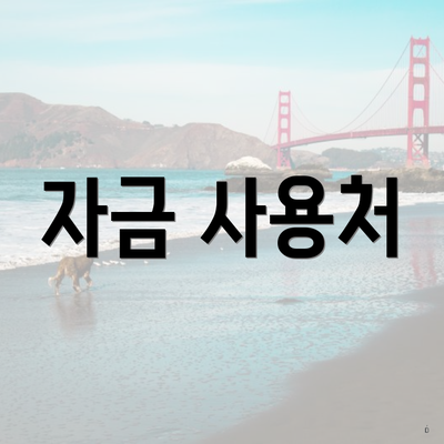 자금 사용처