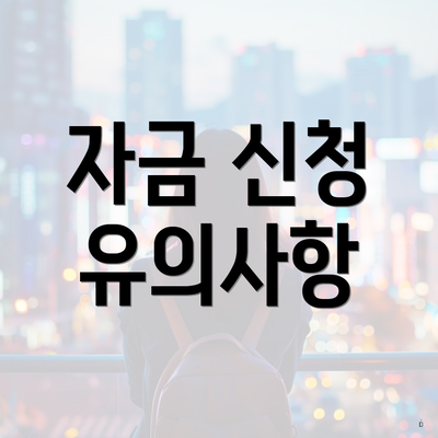자금 신청 유의사항