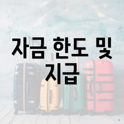 자금 한도 및 지급
