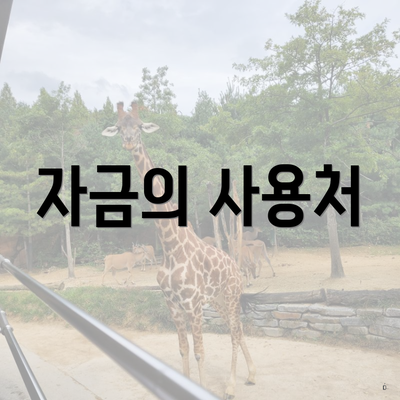 자금의 사용처
