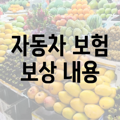 자동차 보험 보상 내용