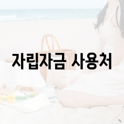 자립자금 사용처