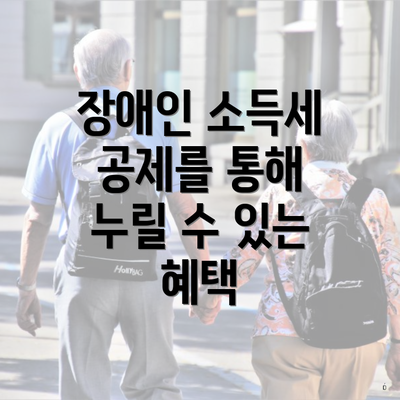 장애인 소득세 공제를 통해 누릴 수 있는 혜택