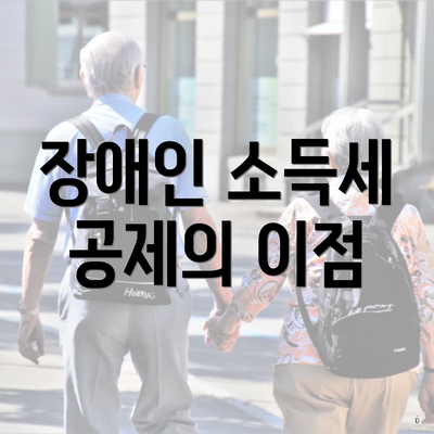 장애인 소득세 공제의 이점