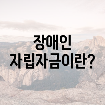장애인 자립자금이란?
