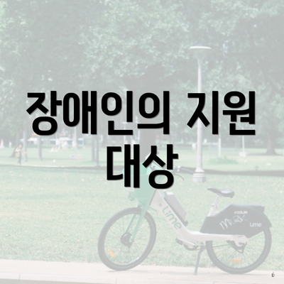 장애인의 지원 대상