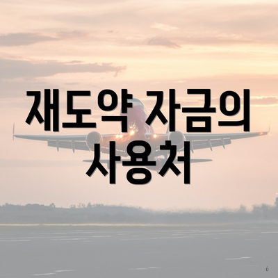 재도약 자금의 사용처