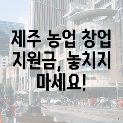 제주 농업 창업 지원금, 놓치지 마세요!