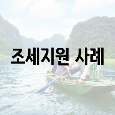 조세지원 사례