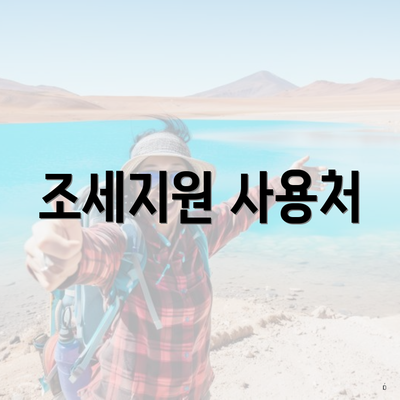 조세지원 사용처