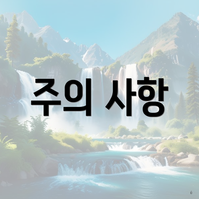 주의 사항