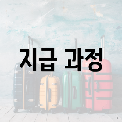 지급 과정