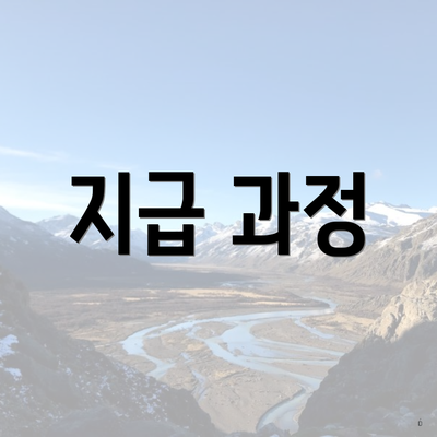 지급 과정