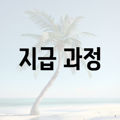 지급 과정