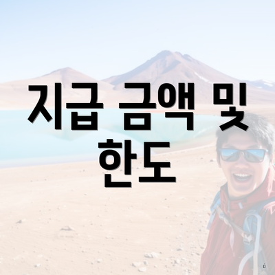 지급 금액 및 한도