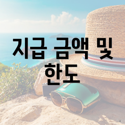 지급 금액 및 한도
