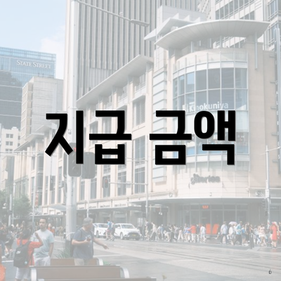 지급 금액