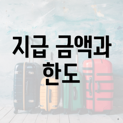 지급 금액과 한도