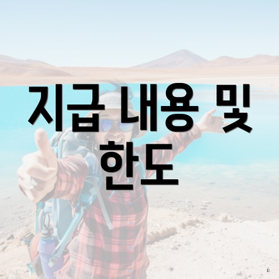 지급 내용 및 한도
