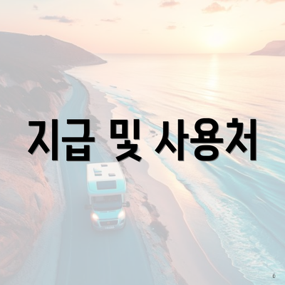 지급 및 사용처