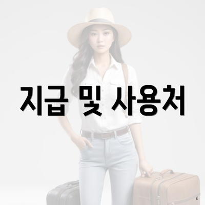 지급 및 사용처