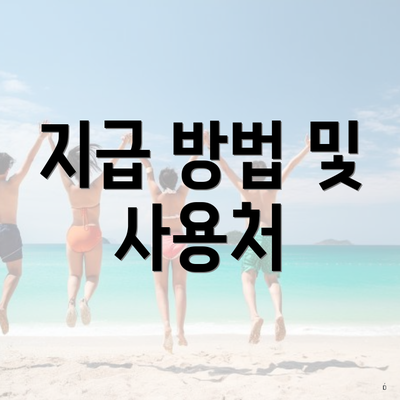 지급 방법 및 사용처