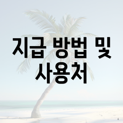 지급 방법 및 사용처
