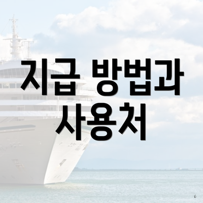 지급 방법과 사용처
