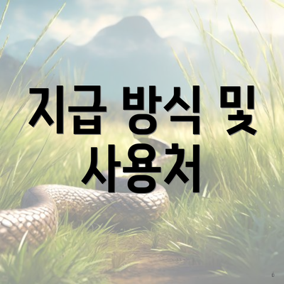 지급 방식 및 사용처
