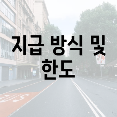 지급 방식 및 한도