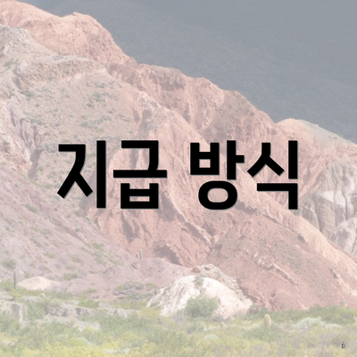 지급 방식