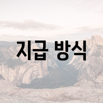 지급 방식