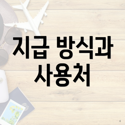 지급 방식과 사용처
