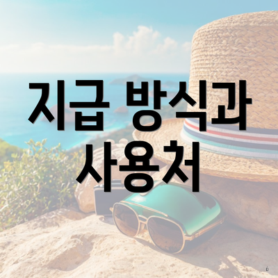 지급 방식과 사용처