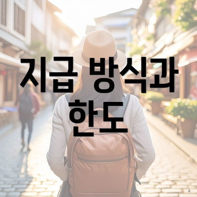 지급 방식과 한도