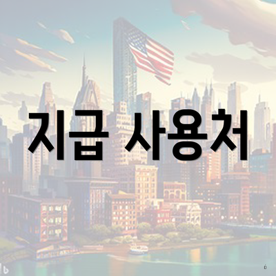 지급 사용처